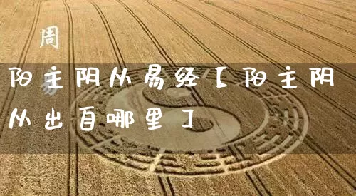 阳主阴从易经【阳主阴从出自哪里】_https://www.nbtfsb.com_周公解梦_第1张