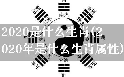 2020是什么生肖(2020年是什么生肖属性)_https://www.nbtfsb.com_易经起名_第1张