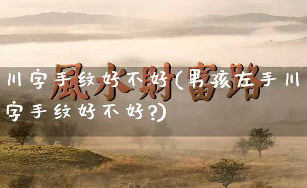 川字手纹好不好(男孩左手川字手纹好不好?)_https://www.nbtfsb.com_道源国学_第1张