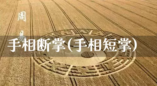 手相断掌(手相短掌)_https://www.nbtfsb.com_道源国学_第1张