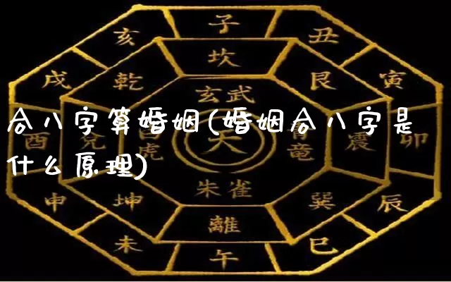 合八字算婚姻(婚姻合八字是什么原理)_https://www.nbtfsb.com_道源国学_第1张
