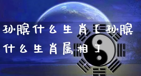 孙膑什么生肖【孙膑什么生肖属相】_https://www.nbtfsb.com_易经起名_第1张