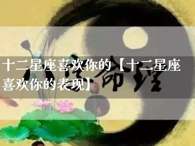 十二星座喜欢你的【十二星座喜欢你的表现】_https://www.nbtfsb.com_五行风水_第1张
