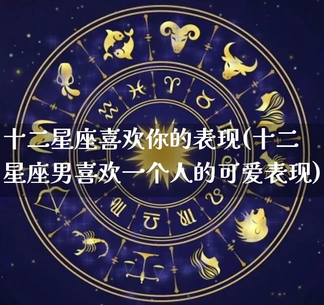 十二星座喜欢你的表现(十二星座男喜欢一个人的可爱表现)_https://www.nbtfsb.com_道源国学_第1张