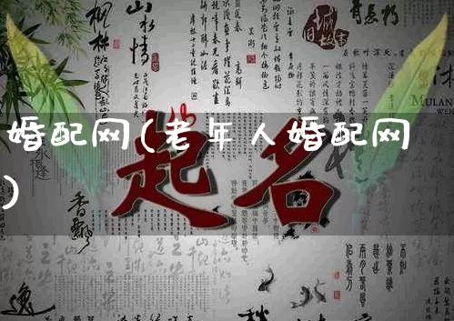 婚配网(老年人婚配网)_https://www.nbtfsb.com_周公解梦_第1张