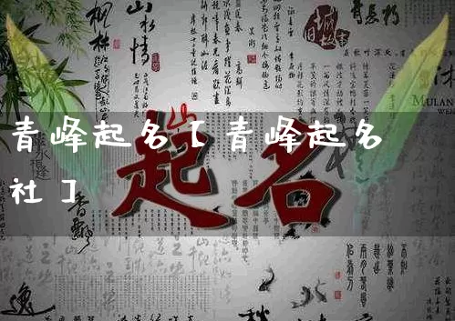 青峰起名【青峰起名社】_https://www.nbtfsb.com_八字算命_第1张