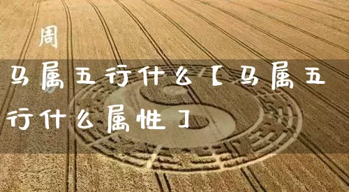 马属五行什么【马属五行什么属性】_https://www.nbtfsb.com_易经起名_第1张
