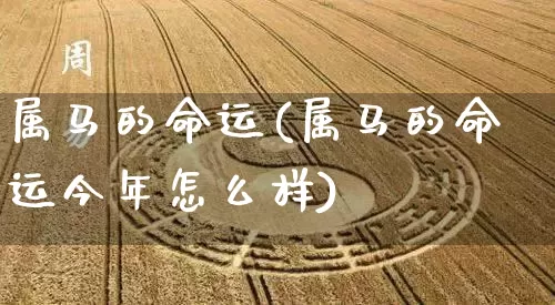 属马的命运(属马的命运今年怎么样)_https://www.nbtfsb.com_周公解梦_第1张
