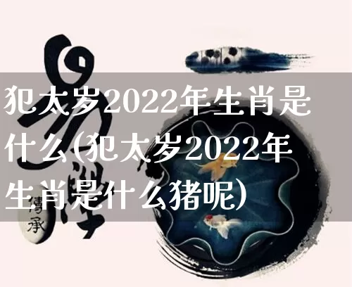 犯太岁2022年生肖是什么(犯太岁2022年生肖是什么猪呢)_https://www.nbtfsb.com_道源国学_第1张