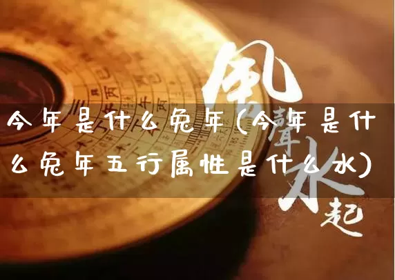 今年是什么兔年(今年是什么兔年五行属性是什么水)_https://www.nbtfsb.com_生肖星座_第1张