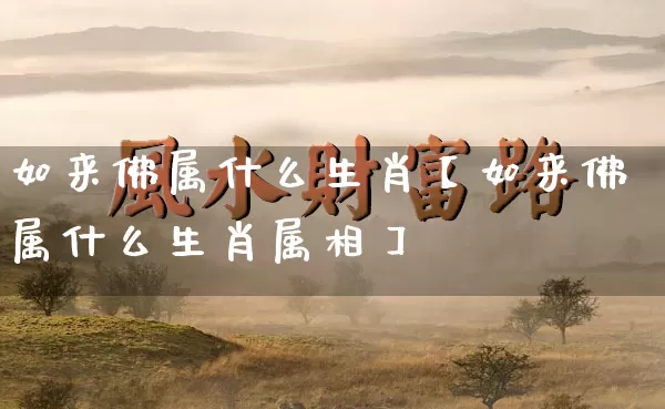 如来佛属什么生肖【如来佛属什么生肖属相】_https://www.nbtfsb.com_五行风水_第1张