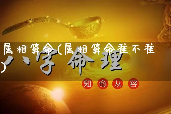 属相算命(属相算命准不准)_https://www.nbtfsb.com_易经起名_第1张
