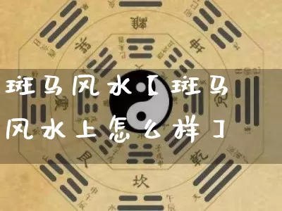 斑马风水【斑马风水上怎么样】_https://www.nbtfsb.com_五行风水_第1张