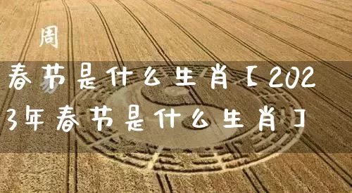 春节是什么生肖【2023年春节是什么生肖】_https://www.nbtfsb.com_五行风水_第1张