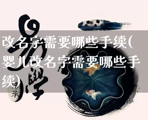 改名字需要哪些手续(婴儿改名字需要哪些手续)_https://www.nbtfsb.com_生肖星座_第1张