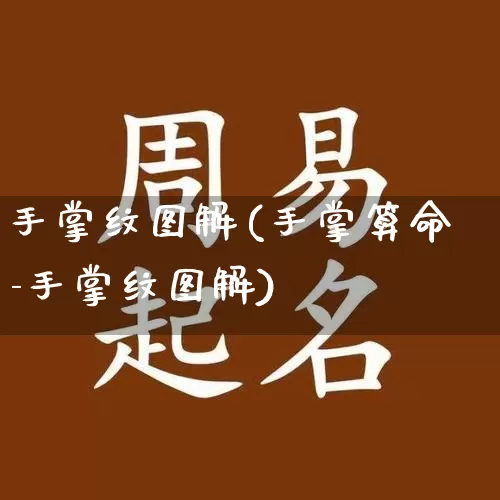 手掌纹图解(手掌算命-手掌纹图解)_https://www.nbtfsb.com_易经起名_第1张
