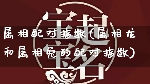 属相配对指数(属相龙和属相兔的配对指数)_https://www.nbtfsb.com_生肖星座_第1张