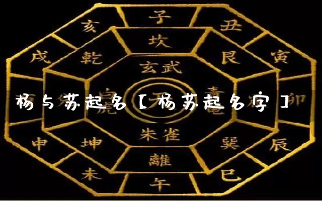 杨与苏起名【杨苏起名字】_https://www.nbtfsb.com_周公解梦_第1张