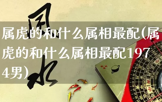 属虎的和什么属相最配(属虎的和什么属相最配1974男)_https://www.nbtfsb.com_周公解梦_第1张