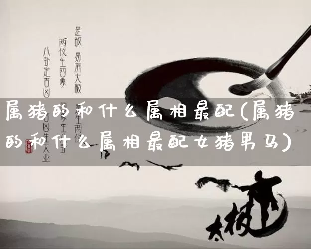 属猪的和什么属相最配(属猪的和什么属相最配女猪男马)_https://www.nbtfsb.com_周公解梦_第1张
