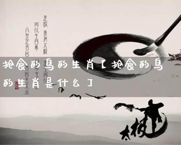 抢食的鸟的生肖【抢食的鸟的生肖是什么】_https://www.nbtfsb.com_生肖星座_第1张