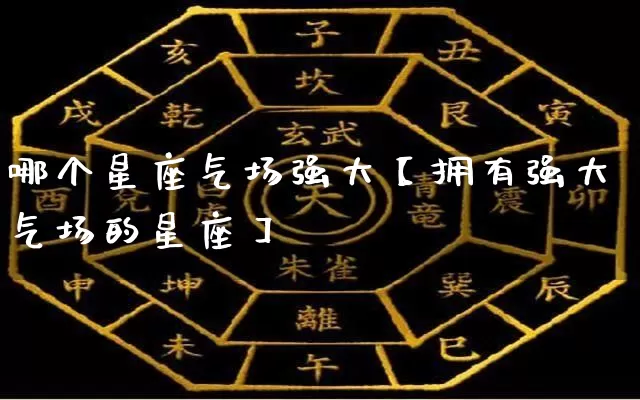 哪个星座气场强大【拥有强大气场的星座】_https://www.nbtfsb.com_八字算命_第1张