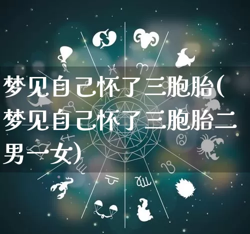 梦见自己怀了三胞胎(梦见自己怀了三胞胎二男一女)_https://www.nbtfsb.com_生肖星座_第1张