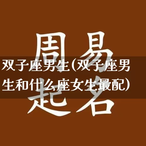 双子座男生(双子座男生和什么座女生最配)_https://www.nbtfsb.com_国学动态_第1张