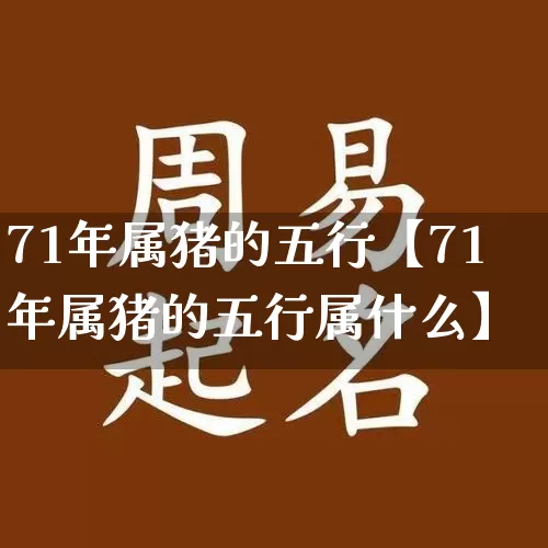 71年属猪的五行【71年属猪的五行属什么】_https://www.nbtfsb.com_周公解梦_第1张