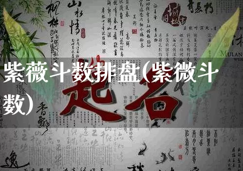 紫薇斗数排盘(紫微斗数)_https://www.nbtfsb.com_国学动态_第1张