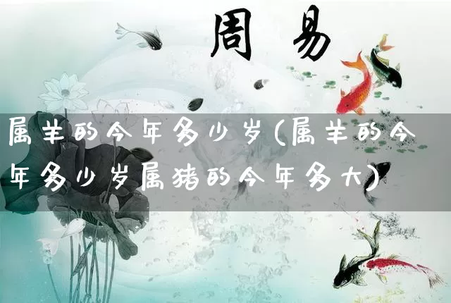 属羊的今年多少岁(属羊的今年多少岁属猪的今年多大)_https://www.nbtfsb.com_国学动态_第1张