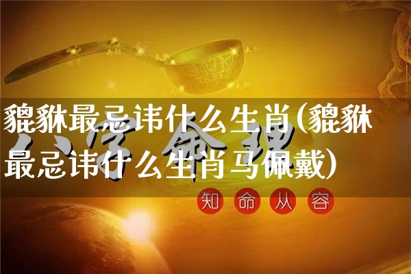 貔貅最忌讳什么生肖(貔貅最忌讳什么生肖马佩戴)_https://www.nbtfsb.com_易经起名_第1张