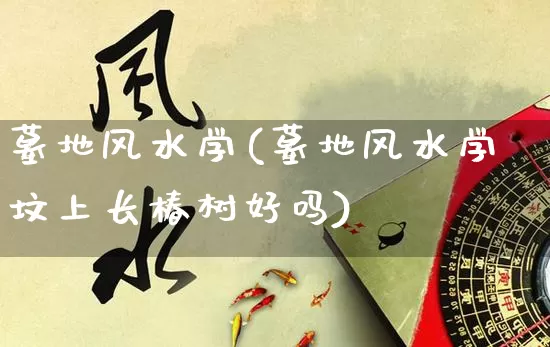 墓地风水学(墓地风水学坟上长椿树好吗)_https://www.nbtfsb.com_易经起名_第1张