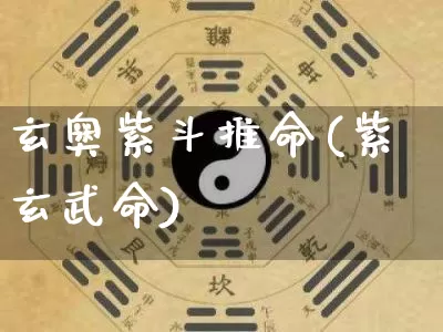 玄奥紫斗推命(紫玄武命)_五行风水_第1张_易东行 玄奥紫斗推命(紫玄武命)_https://www.nbtfsb.com_五行风水_第1张