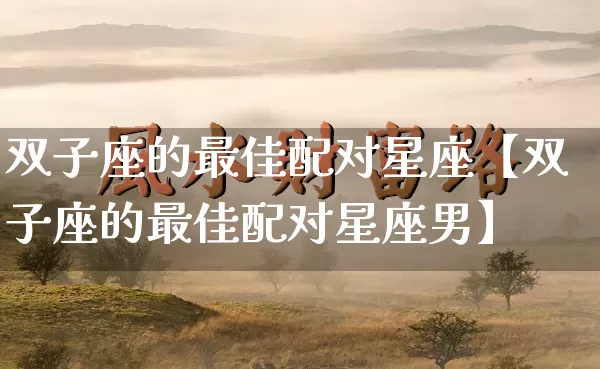双子座的最佳配对星座【双子座的最佳配对星座男】_https://www.nbtfsb.com_国学动态_第1张
