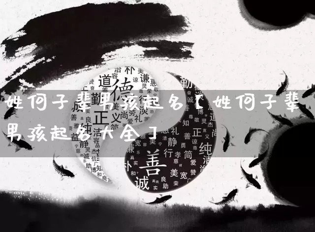 姓何子辈男孩起名【姓何子辈男孩起名大全】_https://www.nbtfsb.com_八字算命_第1张