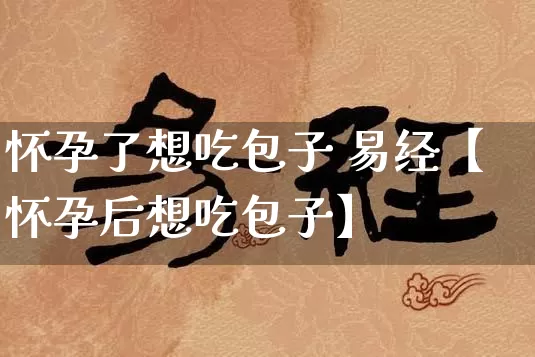 怀孕了想吃包子 易经【怀孕后想吃包子】_https://www.nbtfsb.com_五行风水_第1张