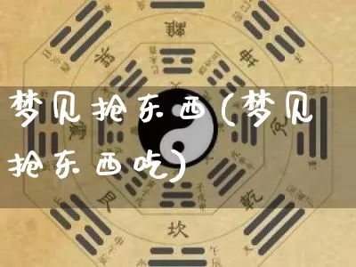 梦见抢东西(梦见抢东西吃)_https://www.nbtfsb.com_国学动态_第1张