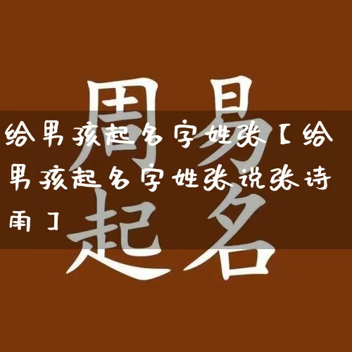 给男孩起名字姓张【给男孩起名字姓张说张诗雨】_https://www.nbtfsb.com_国学动态_第1张