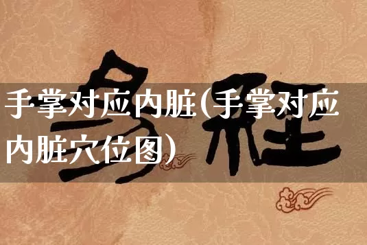 手掌对应内脏(手掌对应内脏穴位图)_https://www.nbtfsb.com_生肖星座_第1张