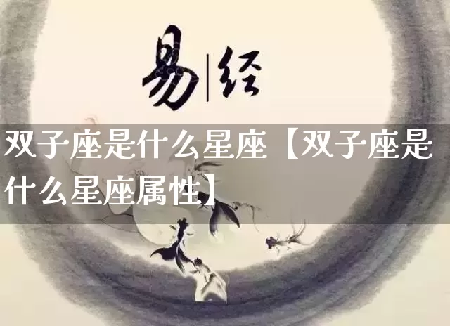 双子座是什么星座【双子座是什么星座属性】_https://www.nbtfsb.com_道源国学_第1张