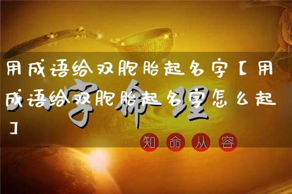 用成语给双胞胎起名字【用成语给双胞胎起名字怎么起】_https://www.nbtfsb.com_国学动态_第1张