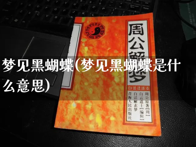 梦见黑蝴蝶(梦见黑蝴蝶是什么意思)_https://www.nbtfsb.com_周公解梦_第1张