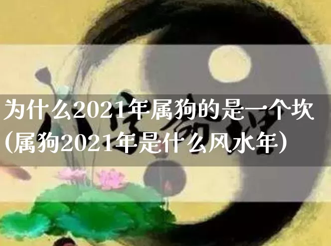 为什么2021年属狗的是一个坎(属狗2021年是什么风水年)_https://www.nbtfsb.com_五行风水_第1张