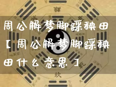 周公解梦脚踩秧田【周公解梦脚踩秧田什么意思】_https://www.nbtfsb.com_周公解梦_第1张