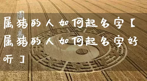 属猪的人如何起名字【属猪的人如何起名字好听】_https://www.nbtfsb.com_五行风水_第1张